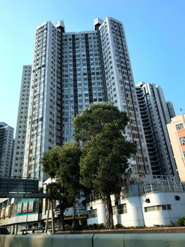 高层住宅建筑