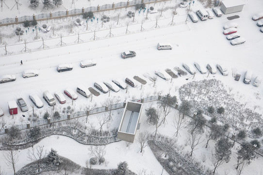 雪后园林景色