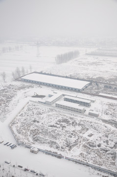 田野雪景