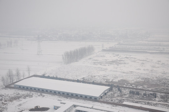 野外雪景