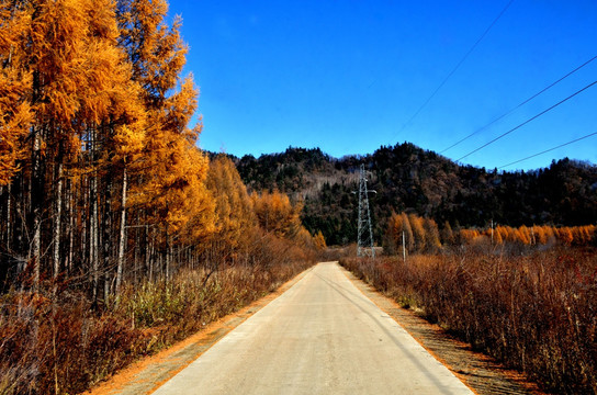 秋天的乡间公路