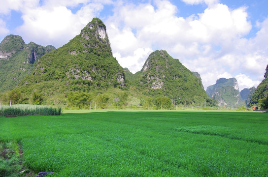 山水风光