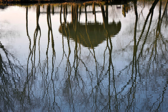 波光粼粼的湖面倒映着亭子与树木