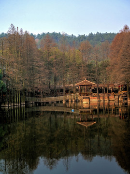 兰溪诸葛卧龙湖度假村 竖版全景