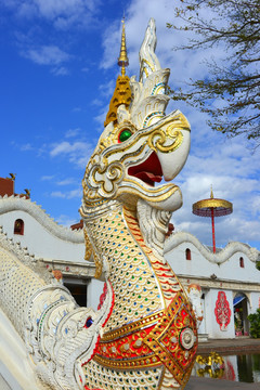 傣族神龙雕塑 鸟头蛇身神兽
