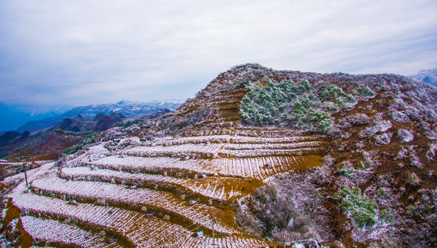 山地 春雪