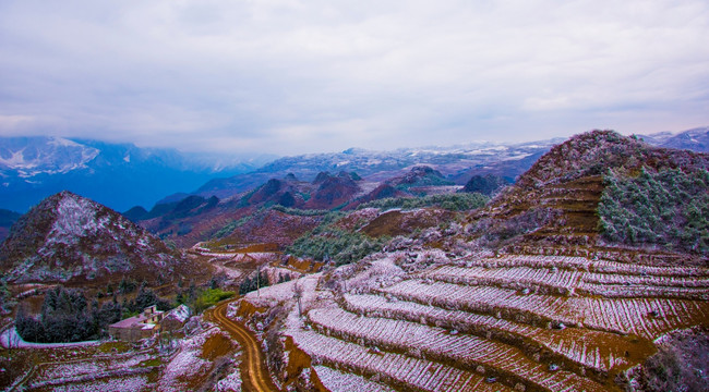 雪地 丘陵