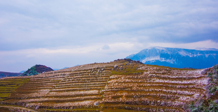 丘陵 雪地