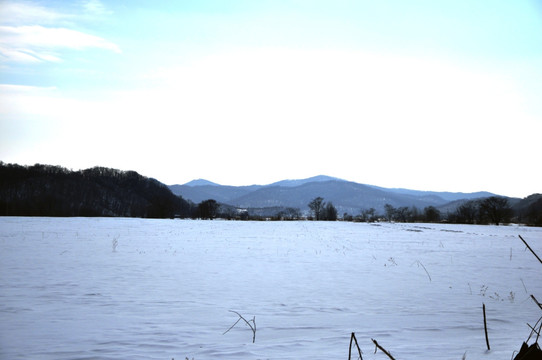 冬季雪景