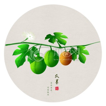 瓜蔞 手繪瓜蔞