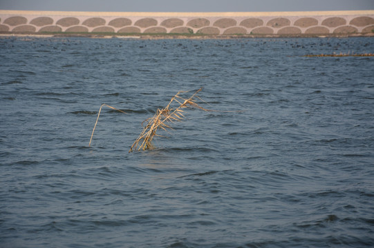 水面湖面