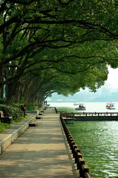 玄武湖景色