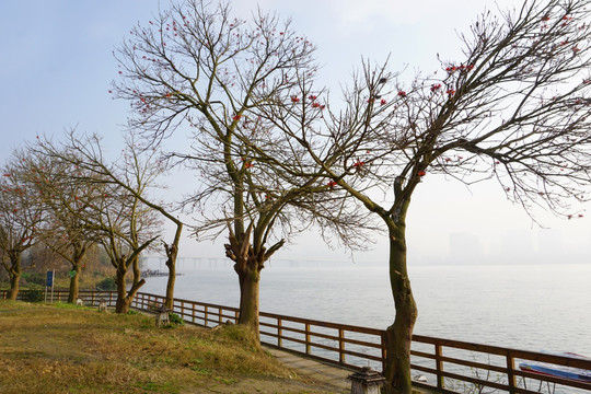 遂宁席吴二洲湿地公园风光