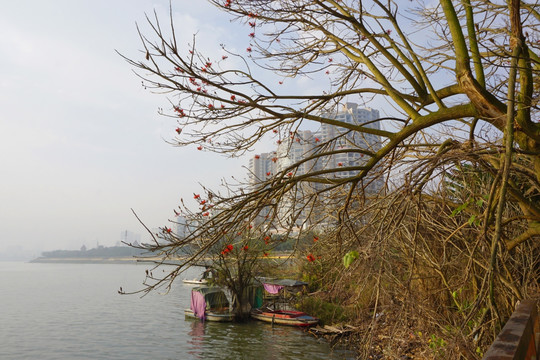 遂宁席吴二洲湿地公园风光