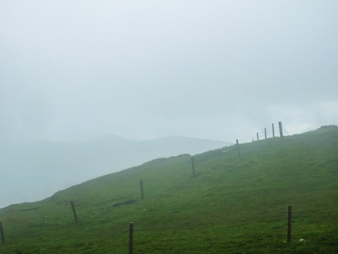 大海草山