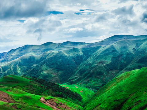 大海草山