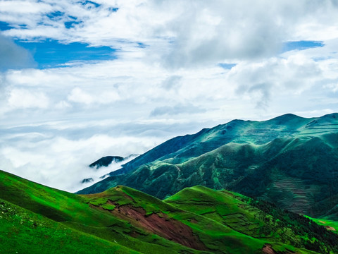 高山牧场