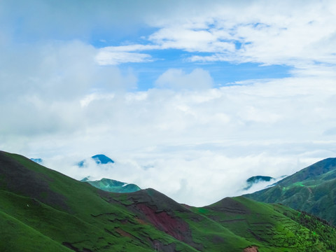 大海草山