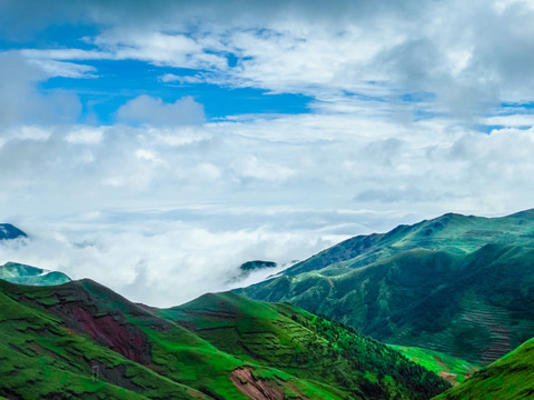 大海草山