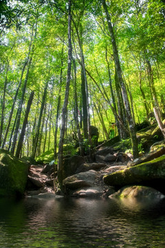 山水风景