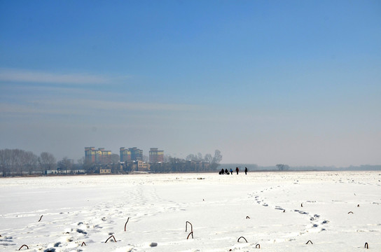 冬雪雪景