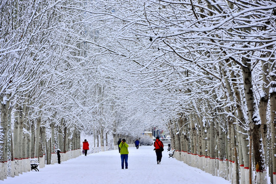 踏上冰雪都是景