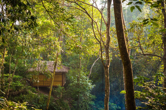 基诺山寨林中小屋