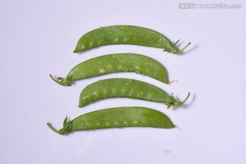 绿色扁豆