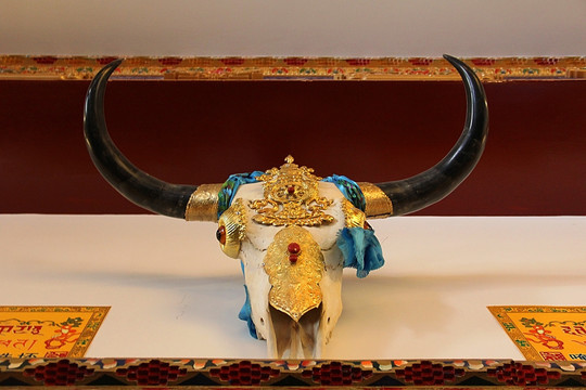 西藏 牦牛头骨 装饰品