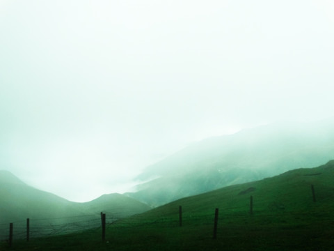 高山牧场云雾