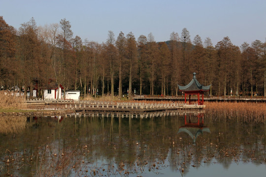 东湖绿道风景