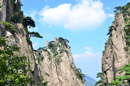 黄山风景