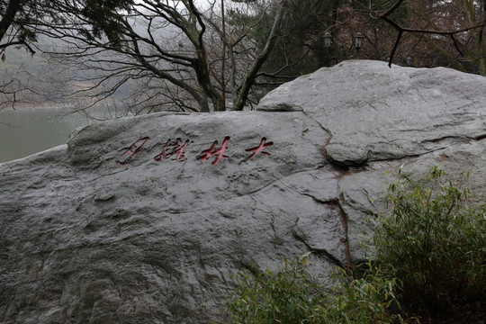 如琴湖