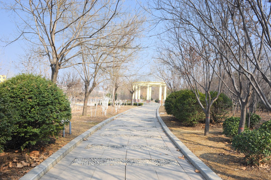 公園里的石板路