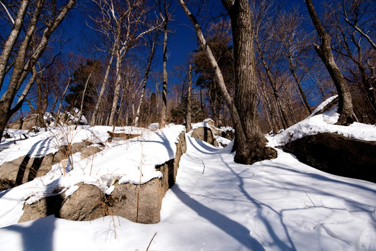 东北雪景