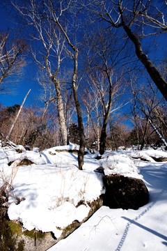 东北雪景