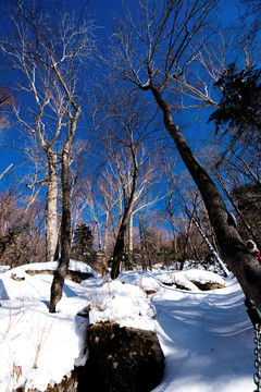 东北雪景