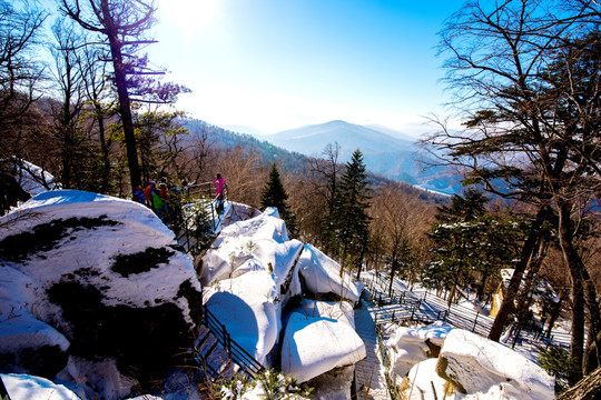 东北雪景