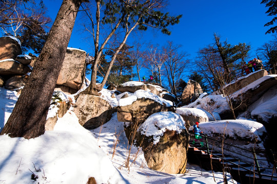 东北雪景