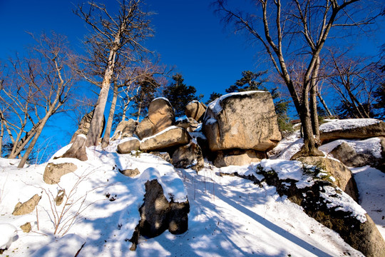 东北雪景