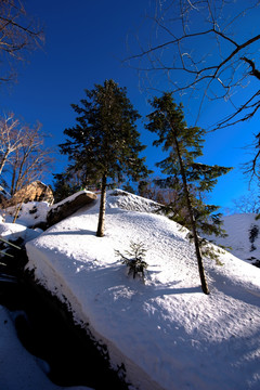 东北雪景