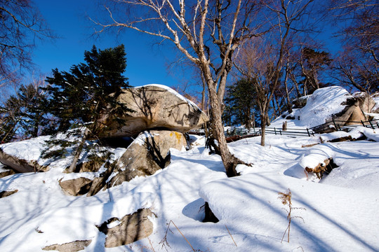 东北雪景