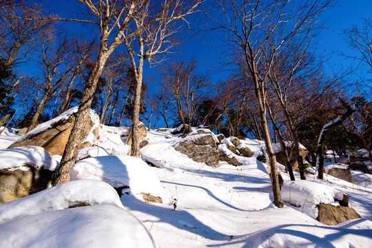 东北雪景