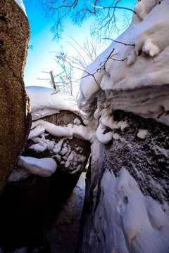 东北雪景