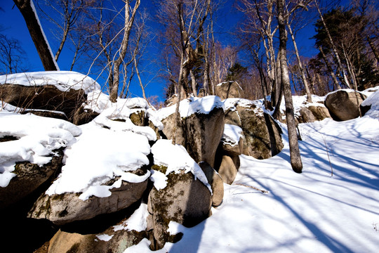 东北雪景