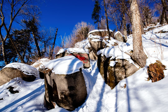 东北雪景