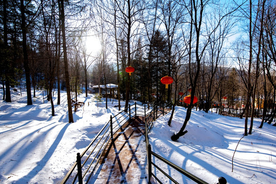 东北雪景