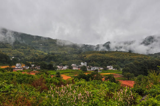 江南田园