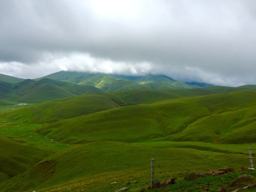 大海草山