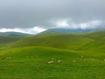 高山牧场